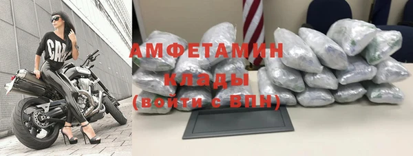 гидра Пестово