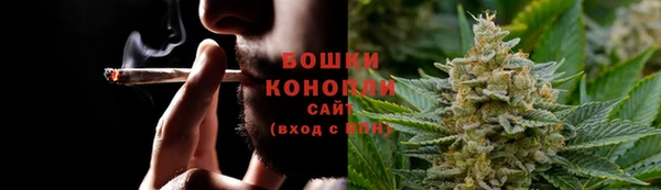 спиды Пересвет