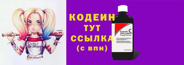 спиды Пересвет