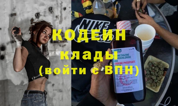 спиды Пересвет