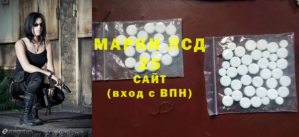 спиды Пересвет