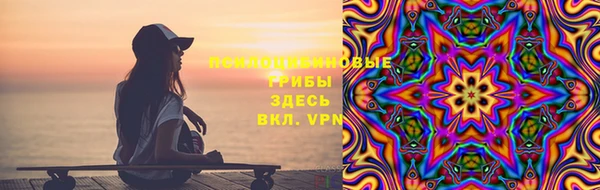 спиды Пересвет
